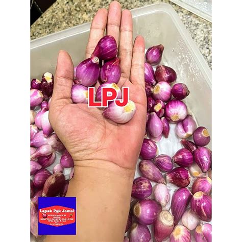 Jual Bawang MERAH KUPAS 500 Gram LPJ Shopee Indonesia