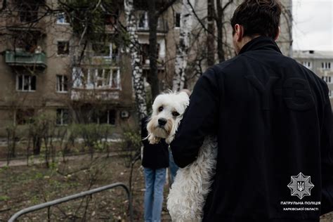 Ескалація війни є екзистенційною загрозою для народу України ООН