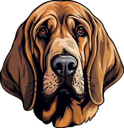 Bloodhound Clipart Design Illustration 46340123 Png