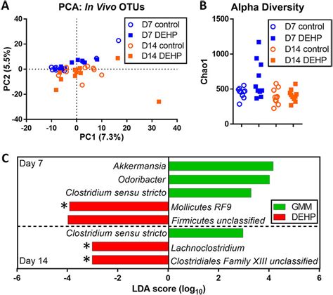 Metagenomic 16s Rrna Analysis Of Fecal Microbiota From Dehp Exposed