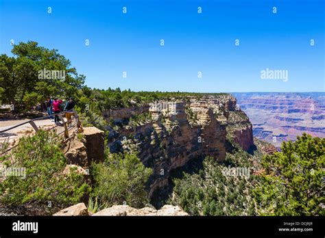 View Towards Mather Point From East Rim Trail Between Mather Yaki