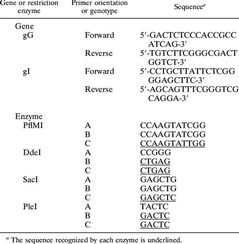 PCR Primers And Recognition Sites For The Restriction Enzymes