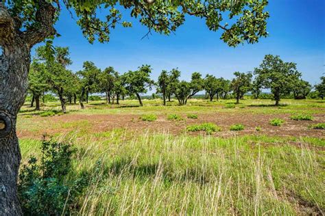 Selling Quality Ranches Throughout Texas | Texas Ranches For Sale