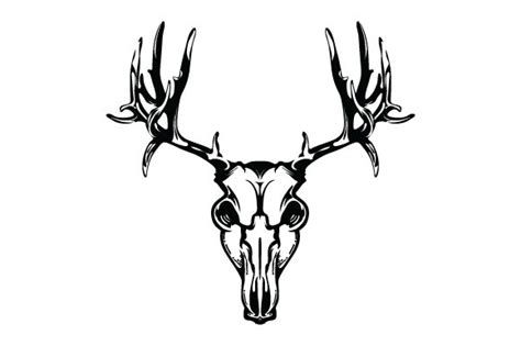 Mule Deer Skull Vector Design Graphic By Chinc1931 · Creative Fabrica