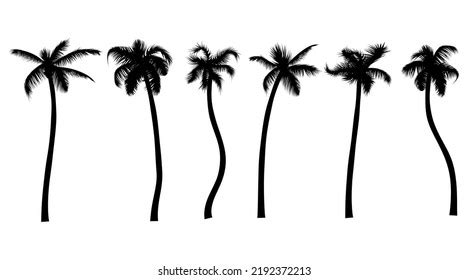 Palm Tree Black Silhouette Realistic Set Stock Vector Royalty Free