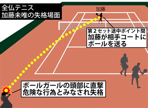 【全仏テニス】加藤未唯が失格になった場面とはボールガールへの返球が後頭部を直撃／イラスト テニス写真ニュース 日刊スポーツ