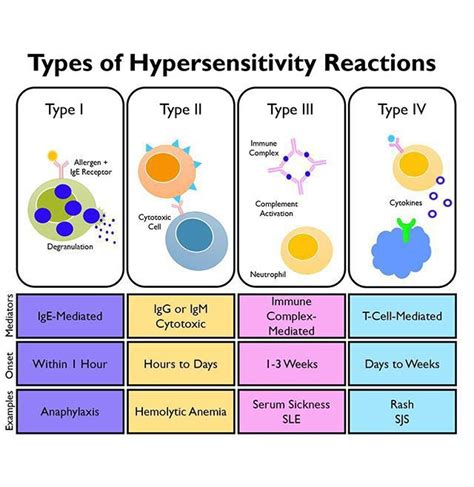 Hypersensitivity Types Medizzy