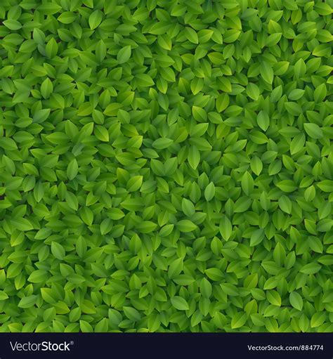 Foliage Royalty Free Vector Image Vectorstock