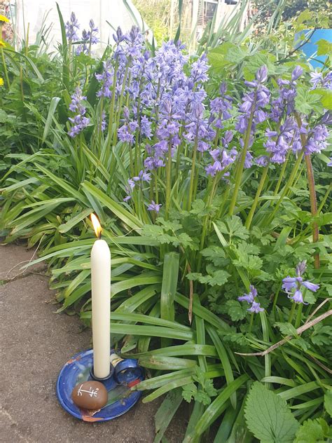 Blessed Beltane Holidays The Pagan Grimoire Coven