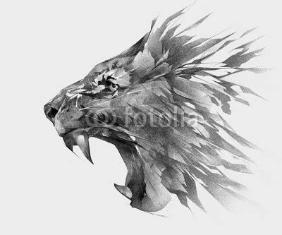 Lion Claw Drawing at PaintingValley.com | Explore collection of Lion ...