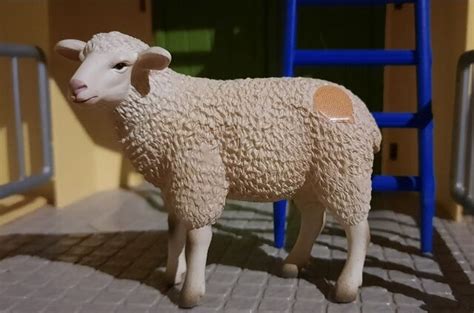 Tiptoi 00312 Sheep Toy Animal Wiki