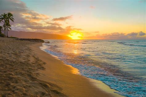 热带夏威夷日落或沙滩日出 库存图片 图片 包括有 海洋 蓝色 平静 夏威夷 日落 五颜六色 202346907