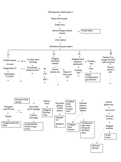 Pathway Syok Sepsis Pdf