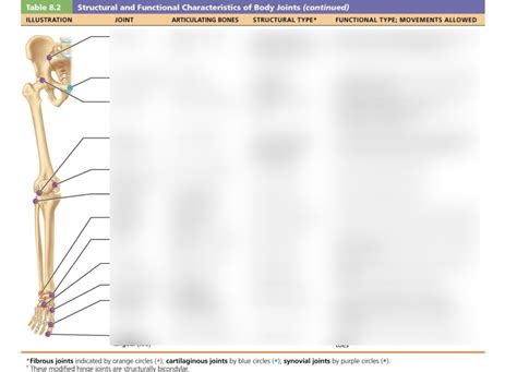 Structural And Functional Characteristics Of Body Joints D Diagram