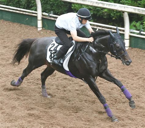 【七夕賞】重賞初挑戦のレッドラディエンスがv あす44歳誕生日の戸崎圭太騎手が最多タイ4勝目 Umatoku 馬トク