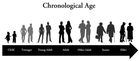 What Is Mental Age And Chronological Age KnowsWhy