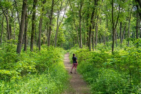 How To Spend One Day At Indiana Dunes National Park