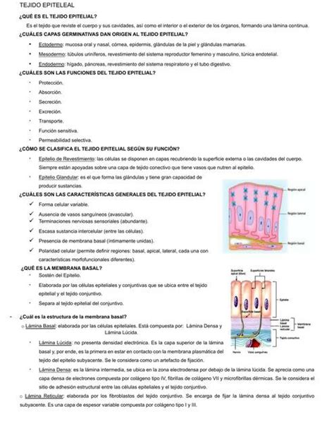 Tejido Epitelial Y Tejido Conectivo General Chacón Udocz