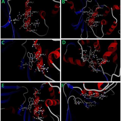 Docking Pose Showing Molecular Interactions Between Compounds From C