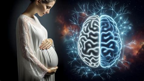 How Pregnancy “rewires” The Brain Digikar