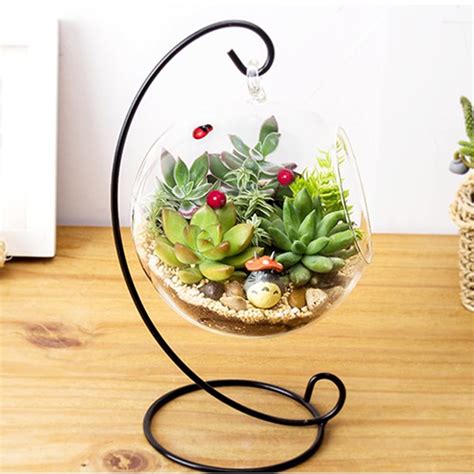 Buy Aramox Large Terrarium Hanging Glass Vase Large Terrarium With Frame For Air Plants