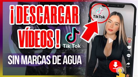 C Mo Descargar Videos De Tiktok Sin Marca De Agua En El Tel Fono