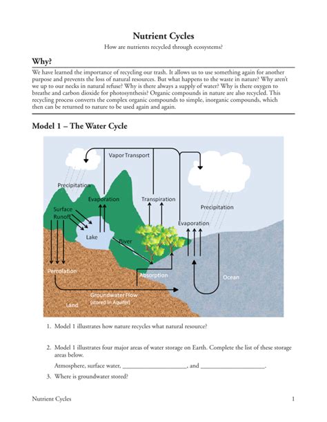 22 Nutrient Cycles S