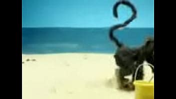 Hot Monkey XVIDEOS