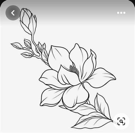 Pin By Annatal On Magnolia Flower Drawing Flower Art Drawing Flower