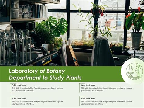 Laboratory Topics In Botany At Robert Kinman Blog