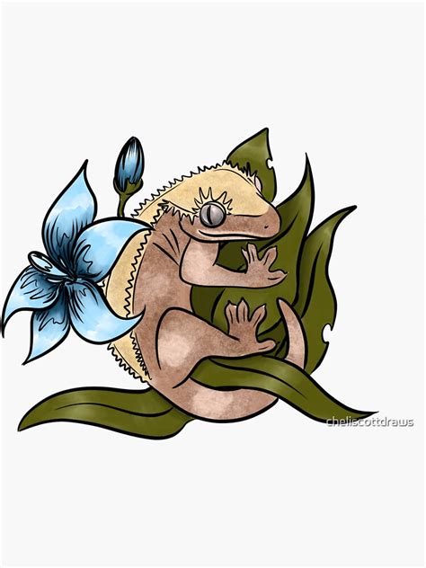 Crested Gecko Sticker For Sale By Cheliscottdraws Redbubble