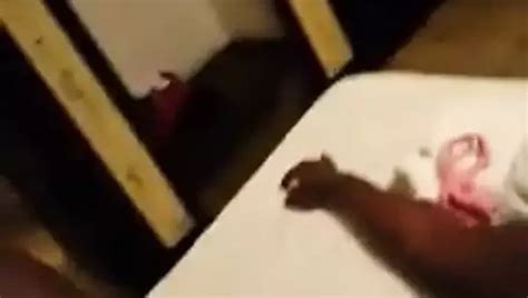 Haitian Porn Videos XHamster