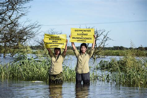 Fundación Greenpeace Argentina Experiencia En Las Inundaciones En