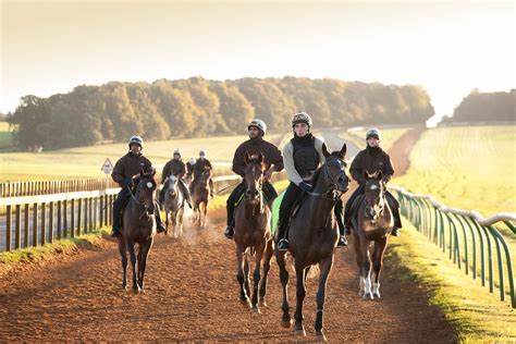 A Short Break In Newmarket Visit Suffolk