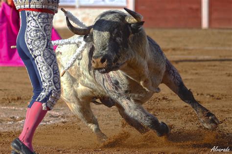 Ossa De Montiel Ab Corrida De Toros Esaú Fernández Filiberto Y