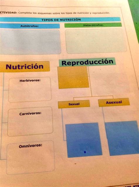 SOLVED completa los esquemas sobre el tipo de nutrición y reproducción