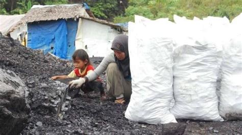 Foto Produksi Batubara Ditargetkan Tumbuh 20 Persen