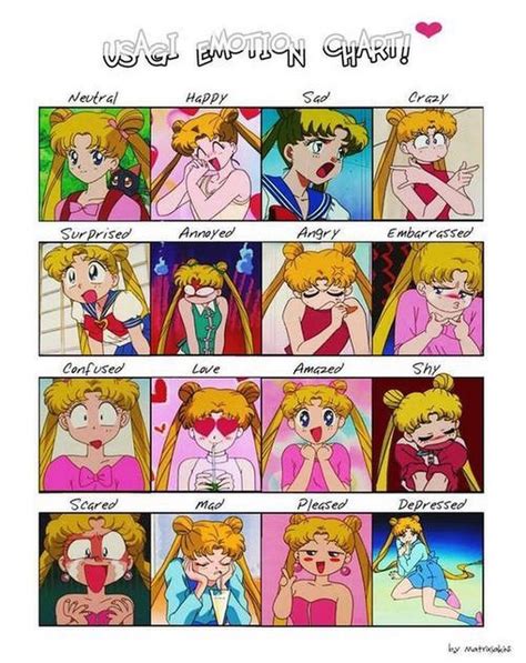 17 Times Sailor Moon Totally Got You Sailor Moon Funny Sailor Moon Meme Sailor Moon Usagi