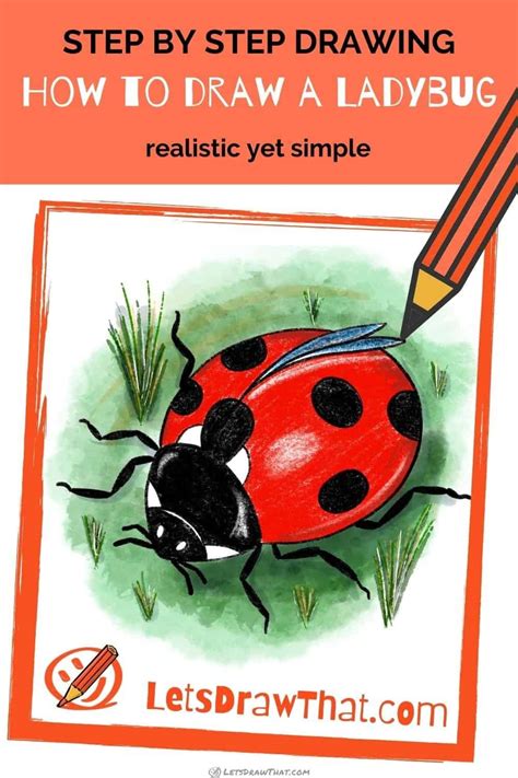 How to draw a ladybug - cute semi-realistic style - Let's Draw That!