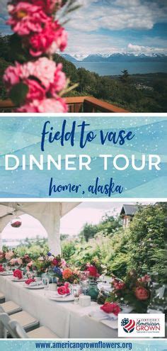 Field To Vase Events Ideas Flower Farm Flowers Field