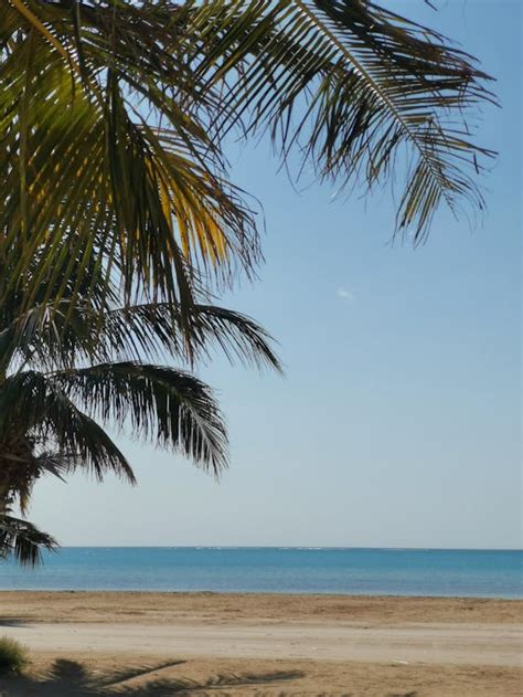 Clear Sky over Tropical Beach · Free Stock Photo