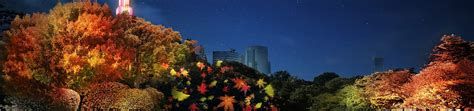 Naked Sakura Night Garden Shinjuku Gyoen