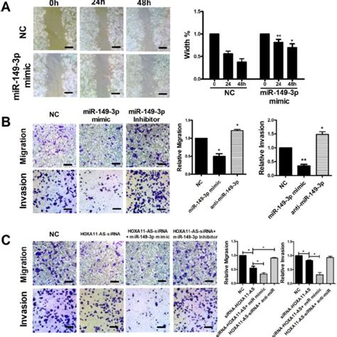 Hoxa As Mir P Axis Regulated The Metastasis Of Colon Cancer