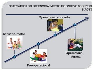 Fases Do Desenvolvimento Cognitivo Segundo Piaget Factory Sale