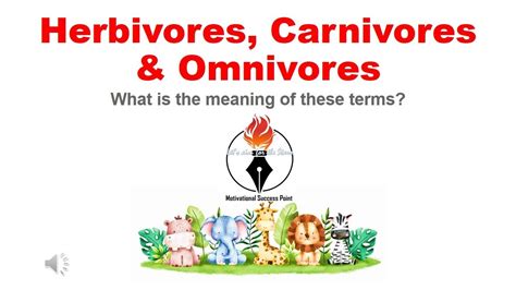 Herbivores Carnivores And Omnivores Types Of Animals And Their Food