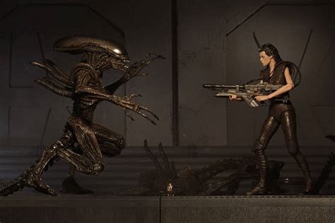 Ellen Ripley Clone 8 Figurine Aliens Resurrection Aliens Series 14 Neca 18 Cm Kingdom Figurine