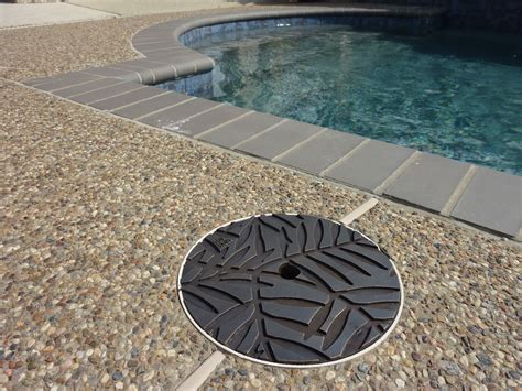 Bronze Locust Skimmer Lid Replacement Pool Landscaping Pathway