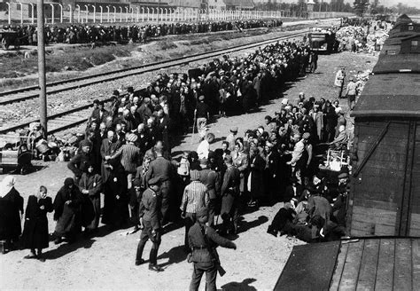 Accadde Oggi Il 23 Settembre 1940 L Ennesimo Orrore Nel Campo Di