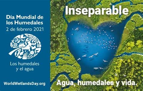 Leisa Día Mundial De Los Humedales 2021