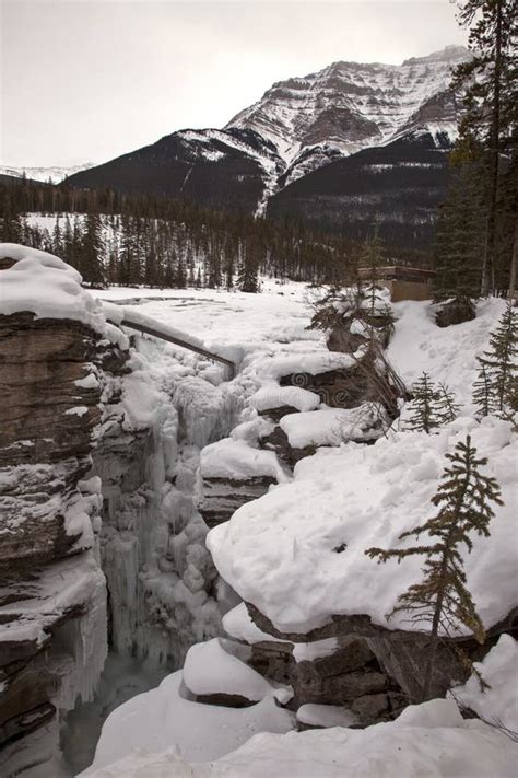 Athabasca Falls in Winter stock image. Image of river - 67504721